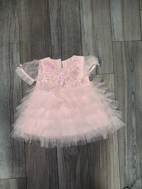 Tutu Du Monde Blush Pink Tulle Dress